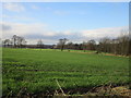 View towards Carr Lane from Hooton Lane