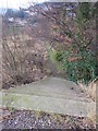 SE1116 : Steps & Footpath - off Vicarage Road by Betty Longbottom