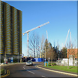 TL4654 : Car park and cranes by John Sutton