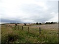 NZ2057 : View across fields towards Blackmoor Hill by Robert Graham