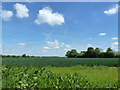 View east from Faggotters Lane