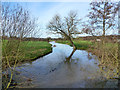 River Colne upstream of New Bridge