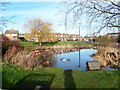 Duck pond, West Bergholt