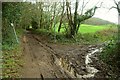 SY0484 : Footpath Junction near Hayes Wood in Devon by Andrew Tryon
