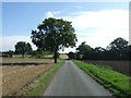 Minor road towards Westhorpe 