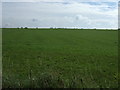 Farmland off Gislingham Road