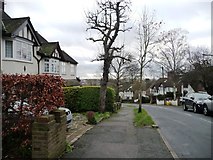 TQ3894 : Woodberry Way, Chingford Green [1] by Christine Johnstone