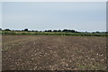 TR0729 : Farmland by N Chadwick