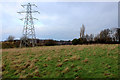 Open Ground above Bolton Woods Quarry