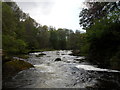 Thrum Rocks, River Coquet