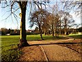 The path in the Bath Grounds, Ashby