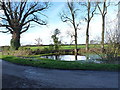 Duckpond at Tibberton Grange