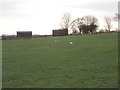 SE2516 : Denby Grange Cricket Pitch - off Highfield Crescent by Betty Longbottom