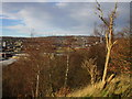 View towards Birkby