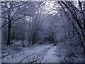 Footpath to Narborough Road