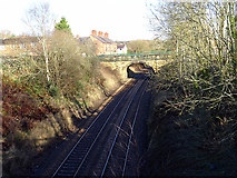 SJ2842 : The railway to Ruabon and Wrexham by John Lucas
