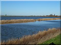 TL4177 : River, reeds and washland - The Ouse Washes by Richard Humphrey