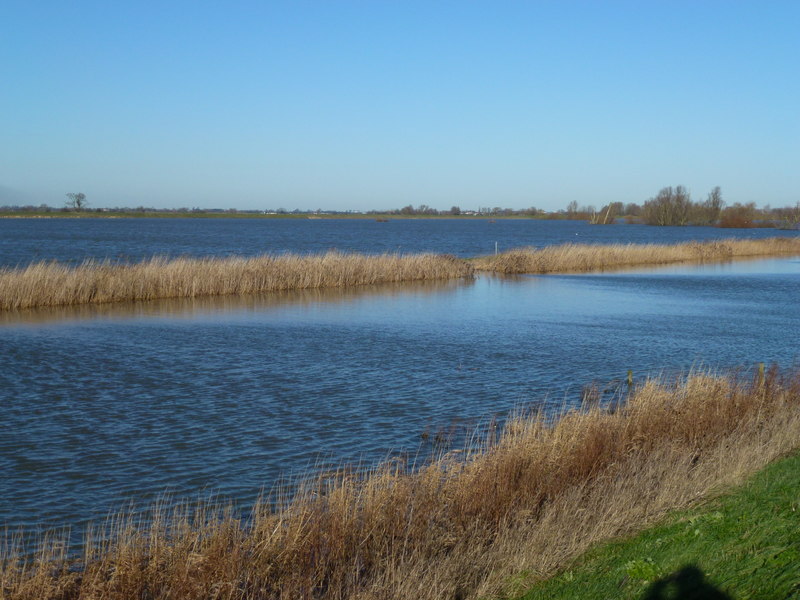 River, reeds and washland - The Ouse... © Richard Humphrey :: Geograph ...