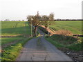 Footpath on farm track near Furthermoor Hall, Little Bardfield