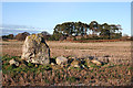 Bogton Stone Circle (2)