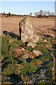 Bogton Stone Circle (3)