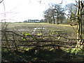 Fields south of High Ash Road