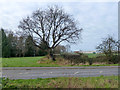 Pillbox by Berechurch Road