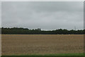 Flat farmland near Postwick