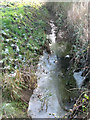 Ice on drainage ditch