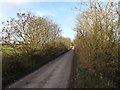 TL6272 : Moor Road (Fordham Moor), Fordham by Geographer