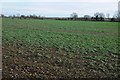 View to Chedglow Barn