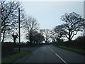 Guy Lane at Cotton Abbotts Farm entrance