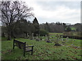 TQ5601 : St Andrew, Jevington: churchyard (v) by Basher Eyre