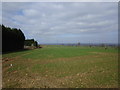 Trent Valley view near Bretby