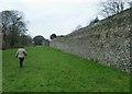 SU8504 : Chichester City Walls - Southwestern section by Rob Farrow