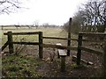 Footpath and Stile near Austerfield