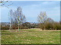 The Chigwell Meadow at Grange Farm