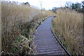 SP5003 : Walkway through reed bed at Chilswell Copse by Roger Templeman