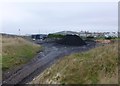 Stack of sea coal recently scraped off the beach