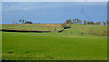 Farming the Llandyfalle plateau