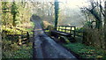 Raised ford near Cefnmachllys