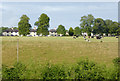 Pasture north of Cheddleton, Staffordshire