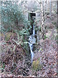 J3729 : Waterfall on Amy's River in Donard Wood by Eric Jones