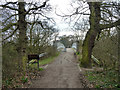 Roding Valley Meadows Nature Reserve