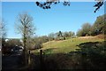 Hillside near Coombe Junction Halt