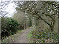 Path into Roding Valley Meadows nature reserve