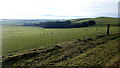 On the bridleway to Pen-y-lan, 5