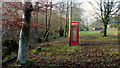 Telephone box at Llaneglwys