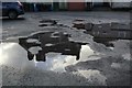 Reflection in a puddle