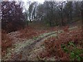 Path near Gruggies Burn